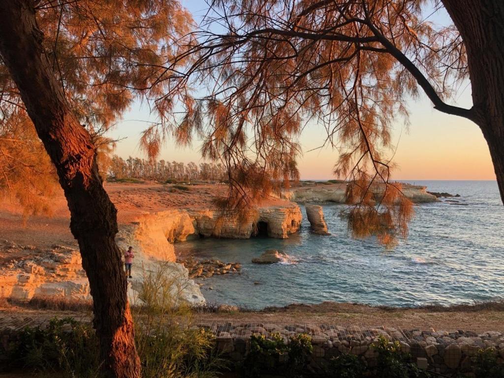 Cozy Apartment In Paphos Beautiful Complex Экстерьер фото